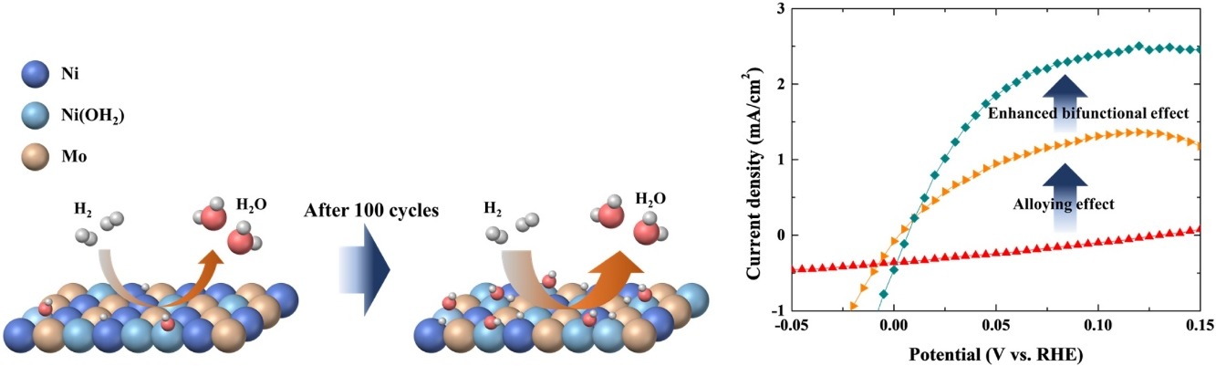 Fuel Cell